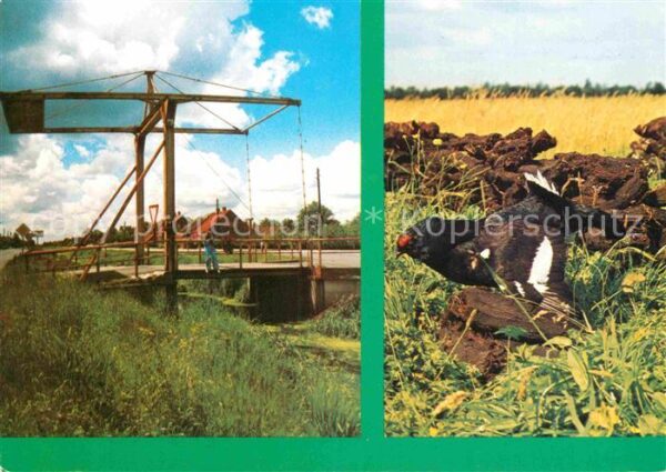 Wiesmoor Fehnkanal Zugbrücke Birkhahn im Moor
