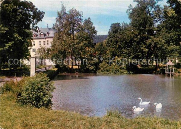 Waechtersbach Schloss Schlossteich Schwäne