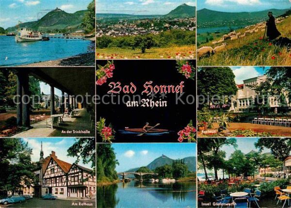 Bad Honnef Rhein Landschaftspanorama Schafherde Tr