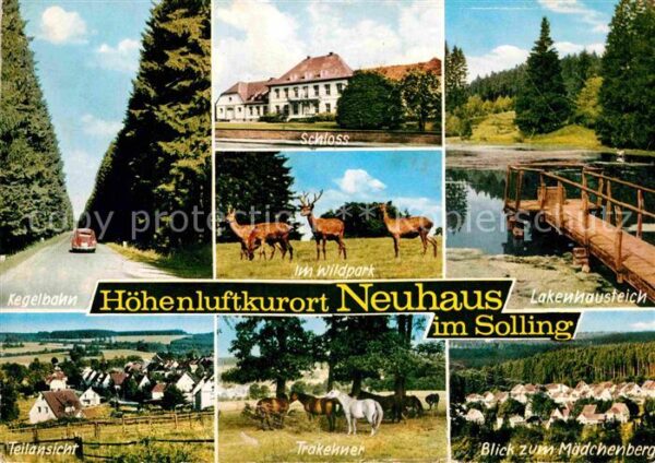 Neuhaus Solling Kegelbahn Schloss Wildpark Hirsch Rehe