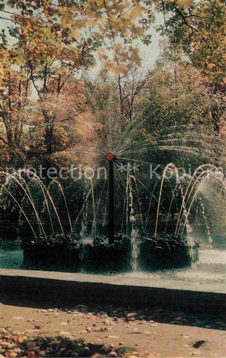 Peterhof St Petersburg Brunnen