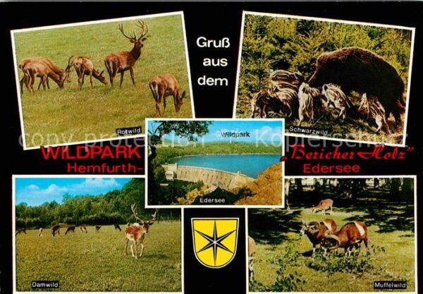 Edersee Wildpark Bericher Holz Hemfurth