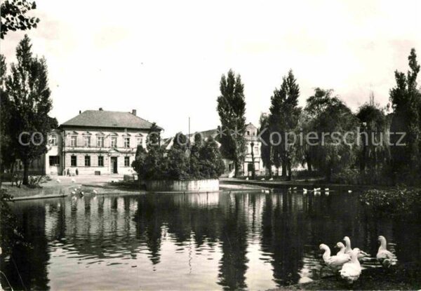 Chotetov Seepartie