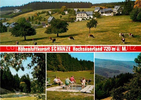 Schanze Sauerland Wassertreten Partie am See Kühe