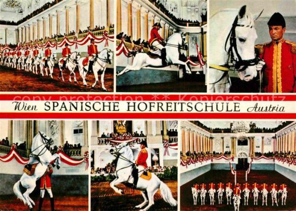 Wien Spanische Hofreitschule weisse Pferde