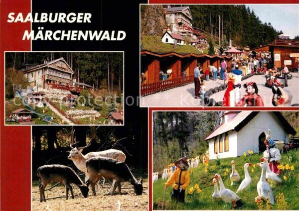 Saalburg Saale Märchenwald Freizeitpark mit Tiergehege