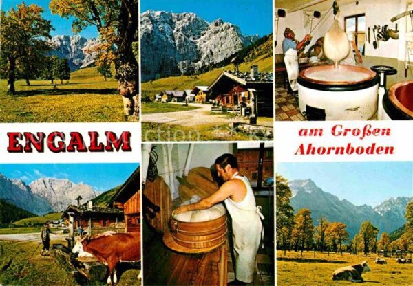 Engalm Weide Käserei Panorama