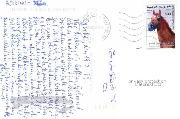 Djerba Plaza Hotel – Bild 2