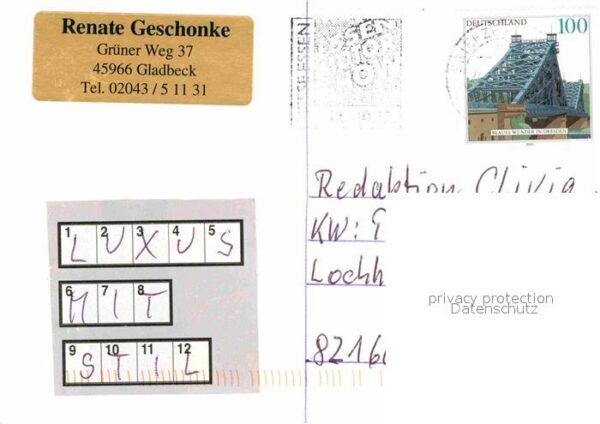Salzburger Land Seitenalm – Bild 2