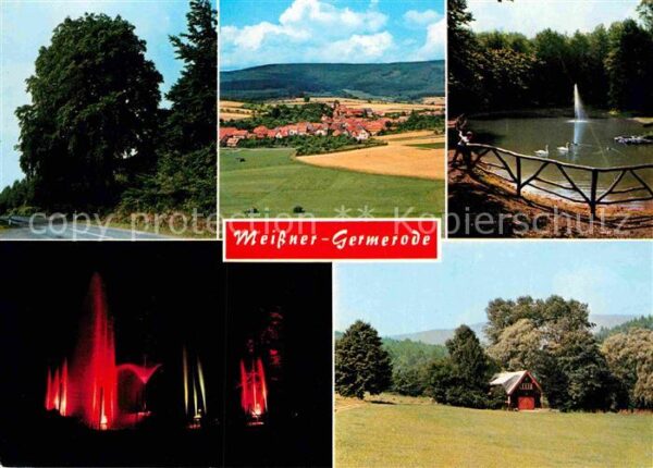 Germerode Lausenbuchse Gesamtansicht Wildpark Was