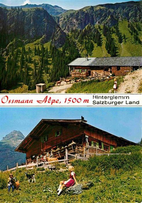 Hinterglemm Saalbach Ossmann Alpe