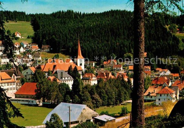 Schonach Schwarzwald blick vom Höfleberg