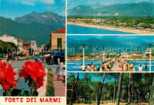 Forte dei Marmi Teilansicht Strand Pinienwald Seebrücke