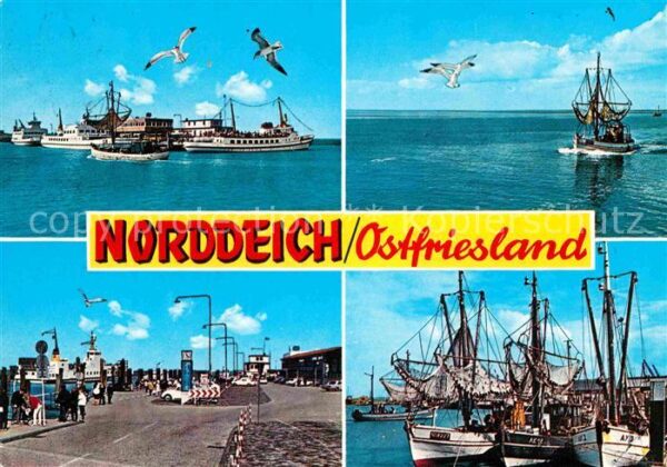 Norddeich Ostfriesland Fischkutter Hafen Möwen