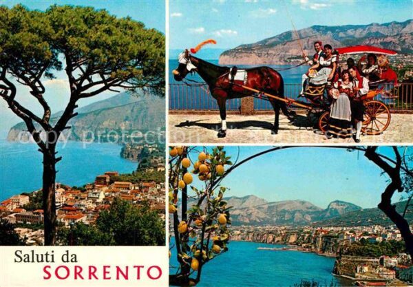 Sorrento Campania Kutsche Panorama