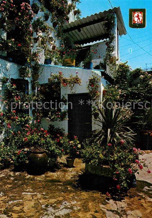 Cordoba Andalucia Blumenhof