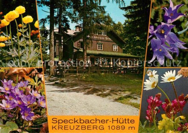 Breitenstein Niederoesterreich Speckbacher Hütte Kreuzberg