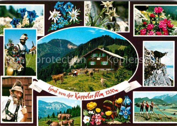 Pfronten Kappeler Alm