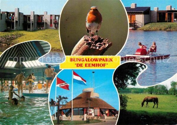 Zuidelijk De Eemhof Bungalowpark Sporthuis Centru