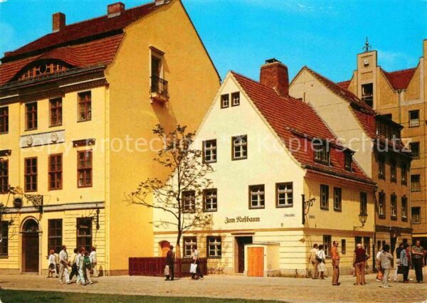 Berlin Gasthaus zum Nußbaum Nikolaiviertel