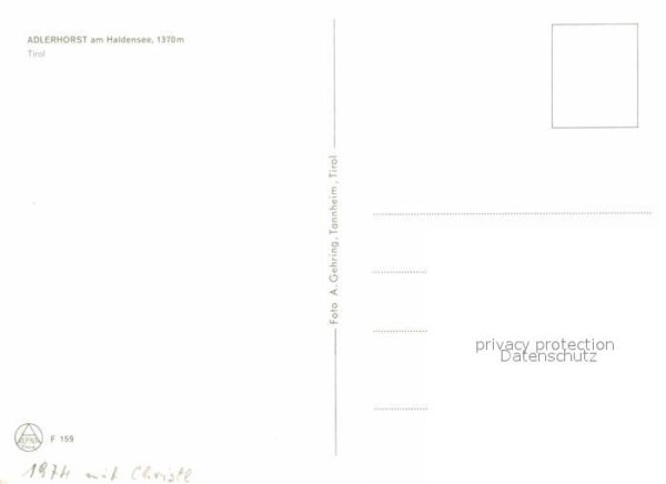 Haldensee Adlerhorst – Bild 2