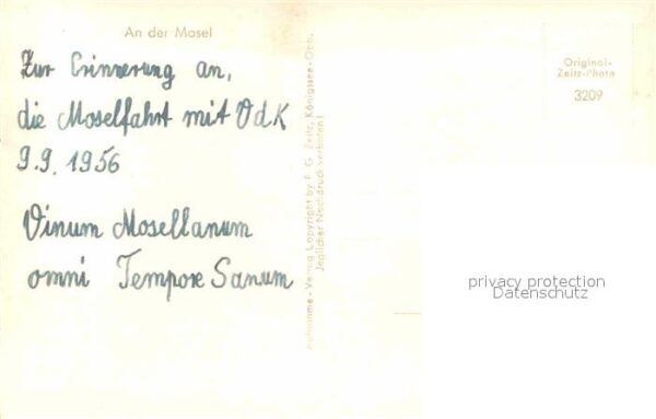 Winningen Mosel Panorama – Bild 2
