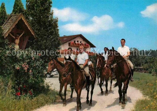 Kronberg Hoeslwang Fremdenheim Gut Kronberg Pferde Ausritt