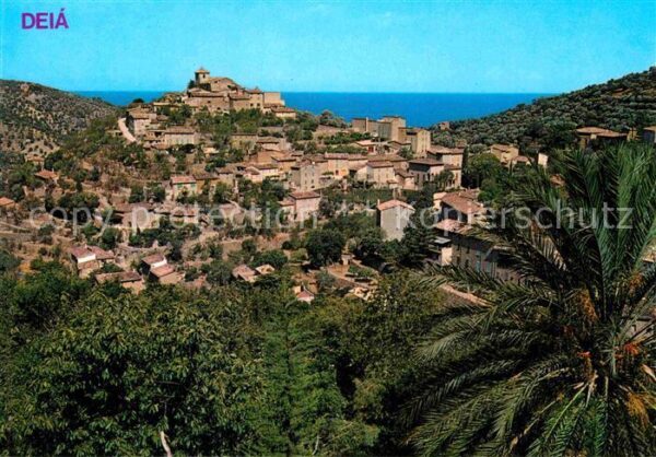 Deia Panorama Palmen Meerblick