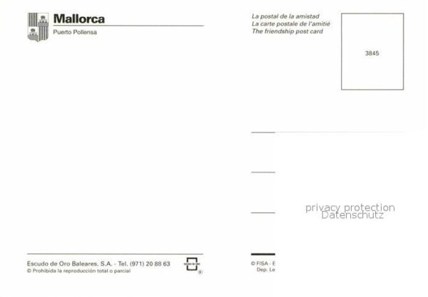 Puerto Pollensa Hafen Berge Fliegeraufnahme – Bild 2