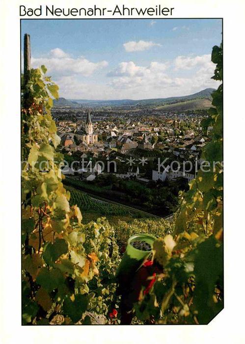 Ahrweiler Ahr Panorama Weinort Weinreben Traubenlese