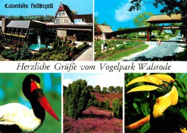 Walsrode Lueneburger Heide Luisenhöhe Heidjergrill Vogelpark