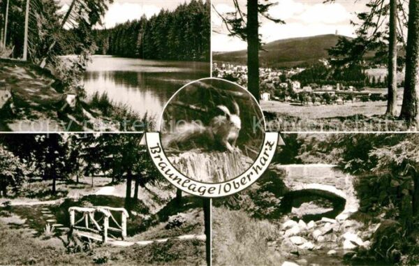 Braunlage Park Brücke Eichhörnchen