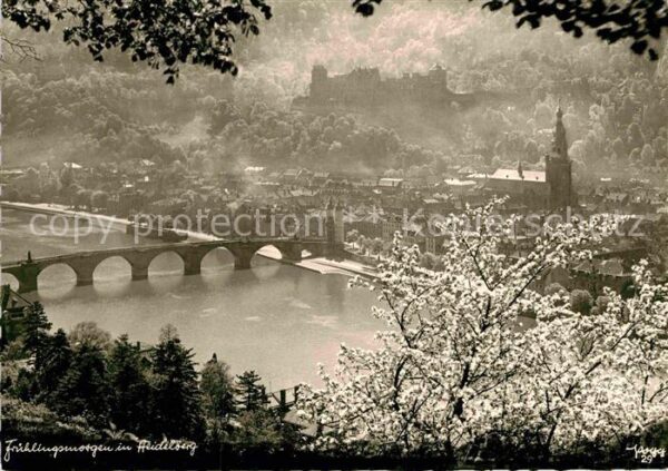 Heidelberg Neckar Schloss Brücke