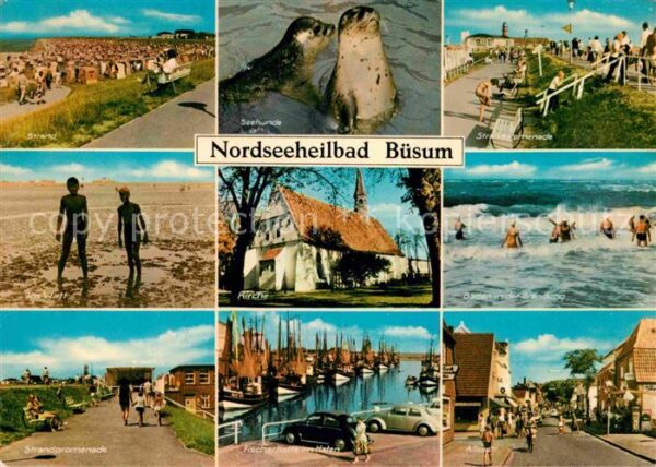 Buesum Nordseebad Seehunde Alleestrasse Fischerflotte Haf