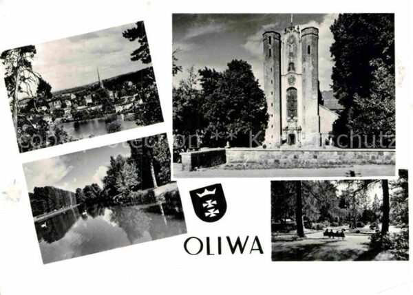Oliwa