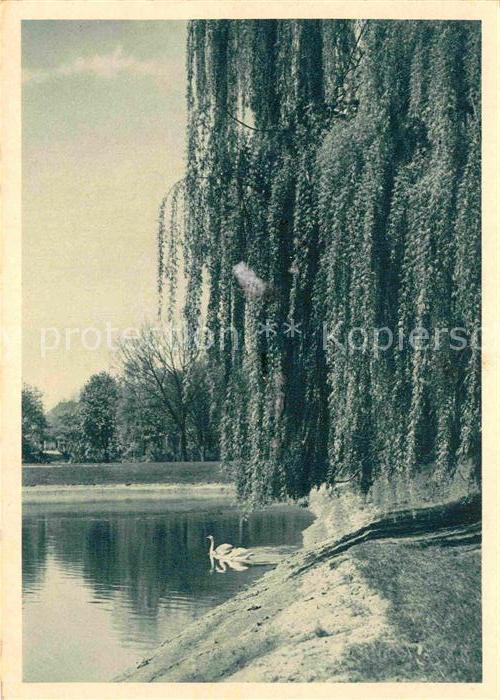 Mannheim Luisenpark