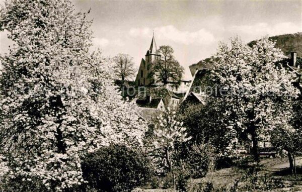 Zwingenberg Bergstrasse Baumblüte