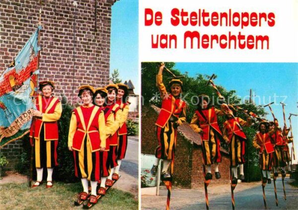 Merchtem Steltenlopers van Merchtem