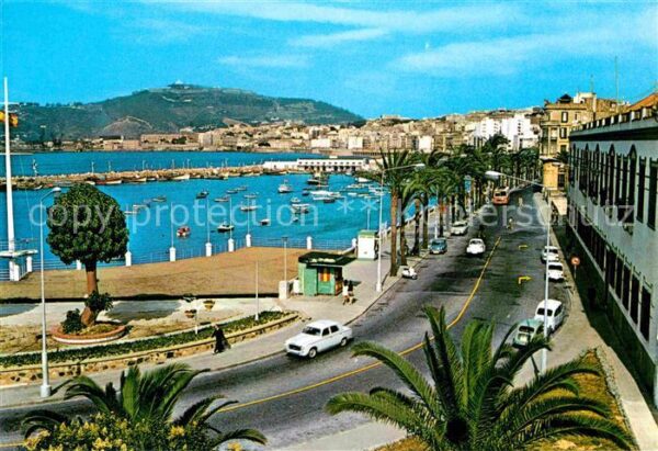 Ceuta Paseo de Las Palmeras