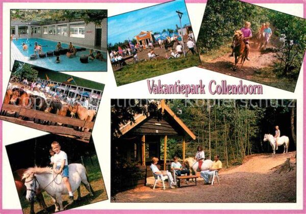 Hardenberg Niederlande Vakantiepark Collendoorn Pony