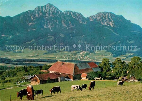 Anger Chiemgau Stroblalm Hochstaufen Zwiesel