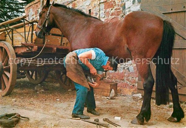Hahndorf South Australia Shoeing Horse Blacksmith shop