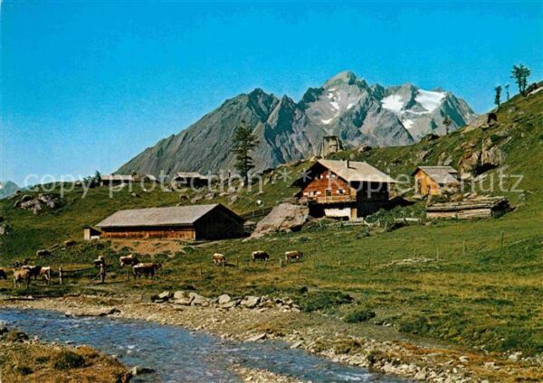 Matrei Osttirol Steiner Alm Kristallkopf Hintereggerkog