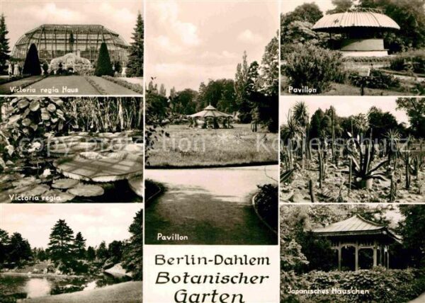 Dahlem Berlin Botanischer Garten Victoria regia Japan