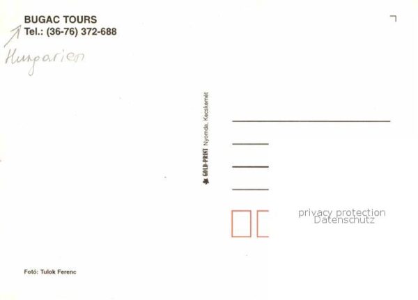 Bugac Esel Schaf Pferd – Bild 2
