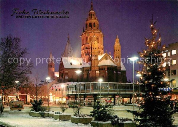 Mainz Rhein Dom Weihnachtsbaum