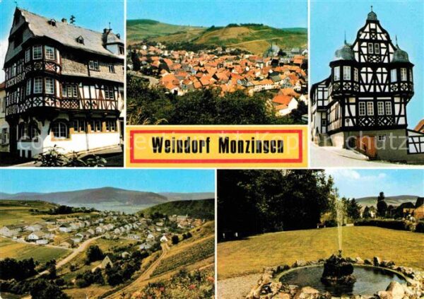 Monzingen Panorama Fachwerkhäuser Brunnen