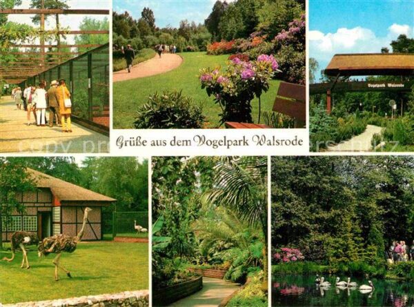 Walsrode Lueneburger Heide Vogelpark