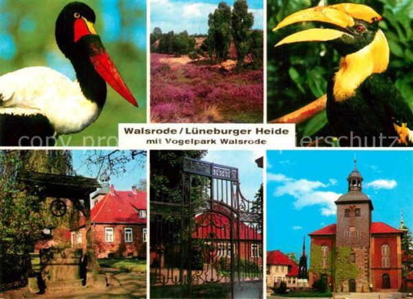 Walsrode Lueneburger Heide Vogelpark
