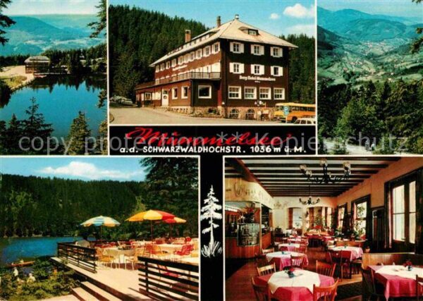 Mummelsee Teilansicht Hotel Terrasse Panorama